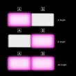 画像5: 【Ulanzi一掃セール!!】 VIJIM R316 Foldable RGB Video Light (5)